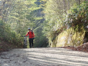 自転車アプローチ